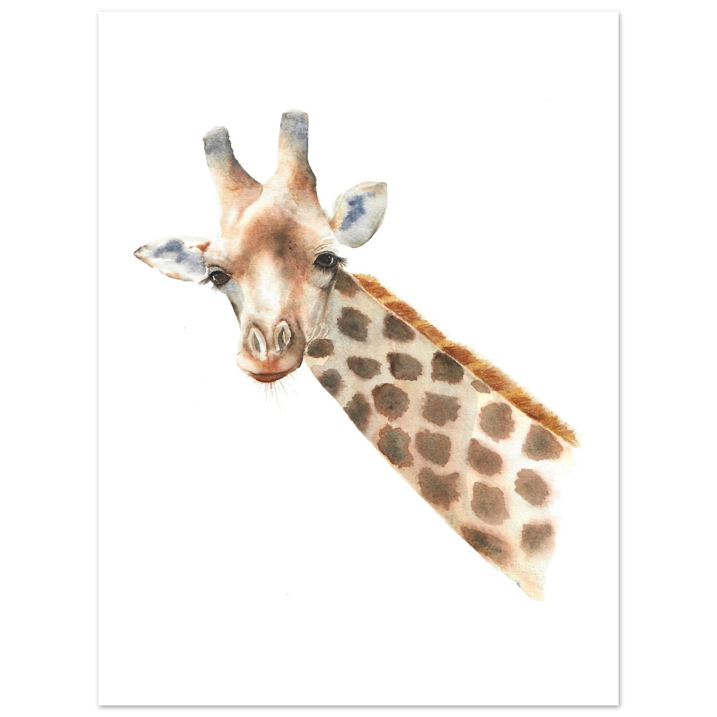 26ce35ef-295a-47b8-8b51-1579d3a65218